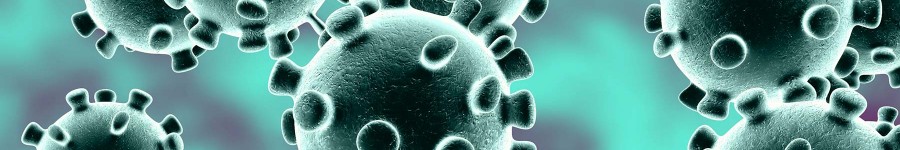 Coronavirus update 22.01.21